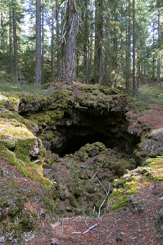 lava cave [Sawyer's Caves, Willamette National Forest, Linn County, Oregon]