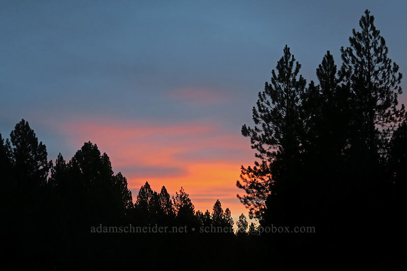 sunrise [Cascade Lakes Highway, Deschutes National Forest, Deschutes County, Oregon]