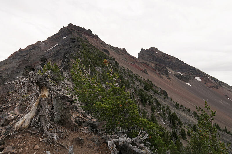 Broken Top [Broken Top climber's trail, Three Sisters Wilderness, Deschutes County, Oregon]