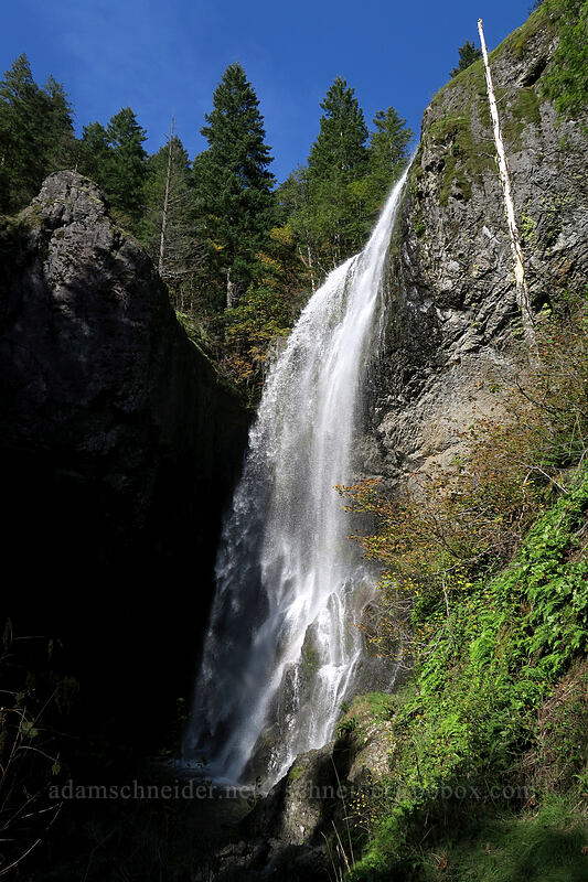 Henline Falls [Henline Falls Trail, Opal Creek Wilderness, Marion County, Oregon]