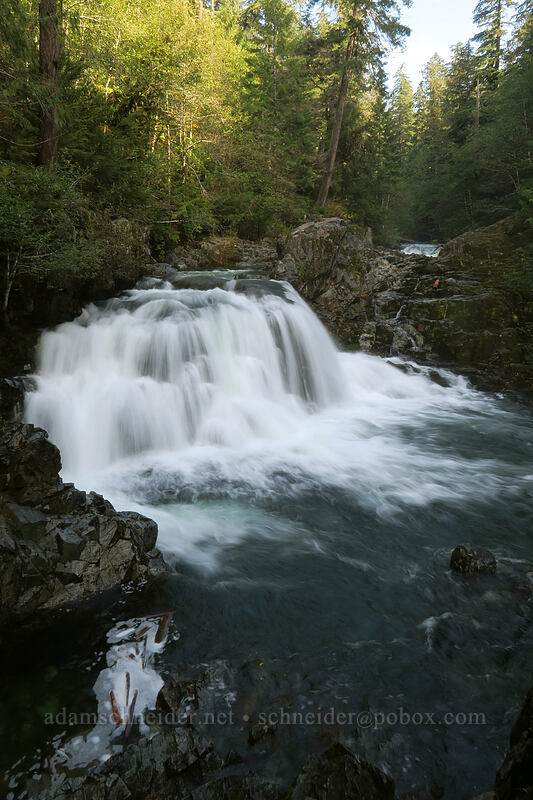 Sawmill Falls [Forest Road 2209, Opal Creek Scenic Recreation Area, Marion County, Oregon]