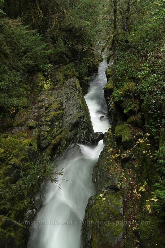 gorge above Opal Pool [Kopetski Trail, Opal Creek Scenic Recreation Area, Marion County, Oregon]