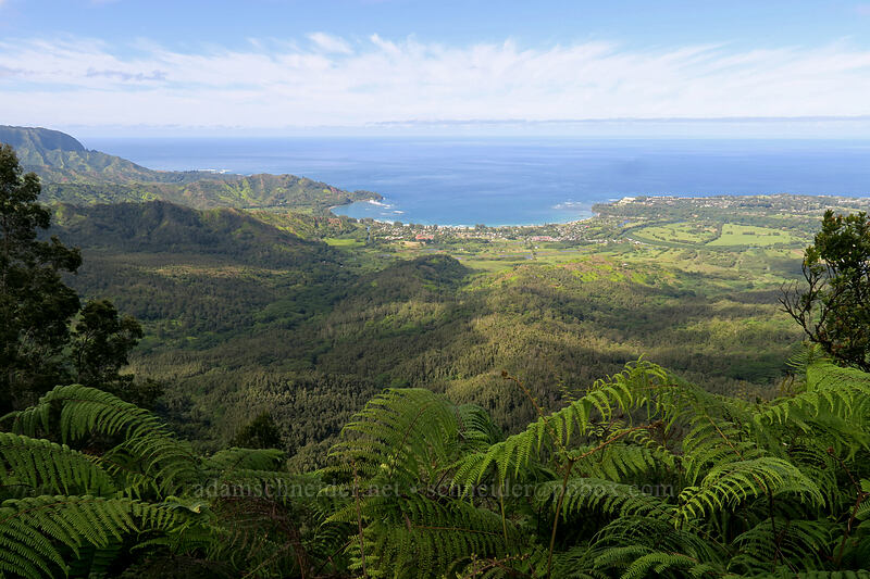 Hanalei Bay [Hihimanu Trail, Hanalei, Kaua'i, Hawaii]