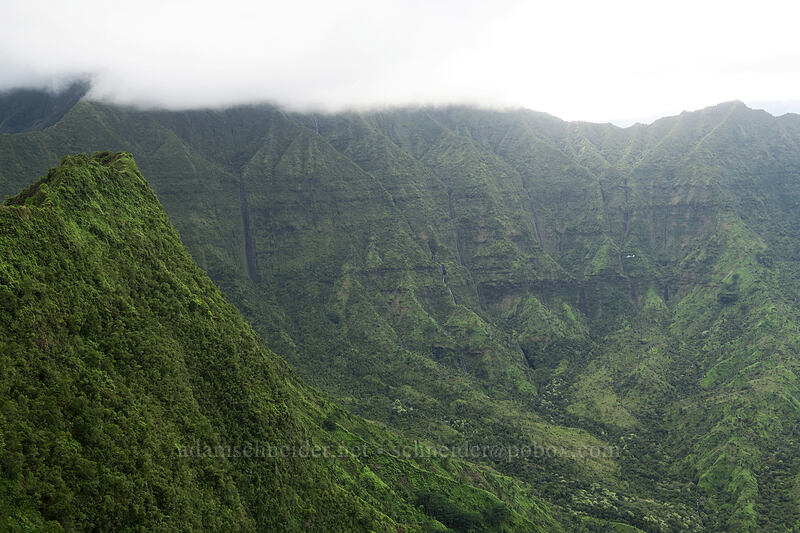 head of Wai'oli Valley [north summit of Hihimanu, Hanalei, Kaua'i, Hawaii]