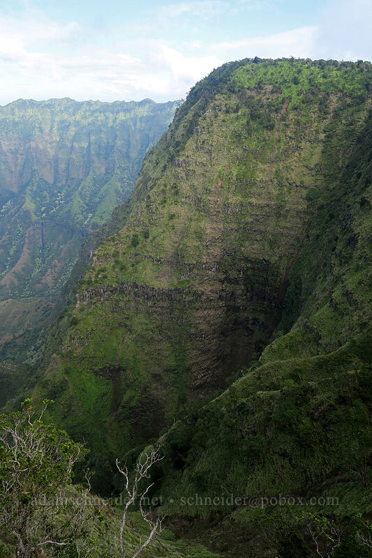 head of Kalalau Valley [Kalepa Ridge Trail, Na Pali Coast State Park, Kaua'i, Hawaii]