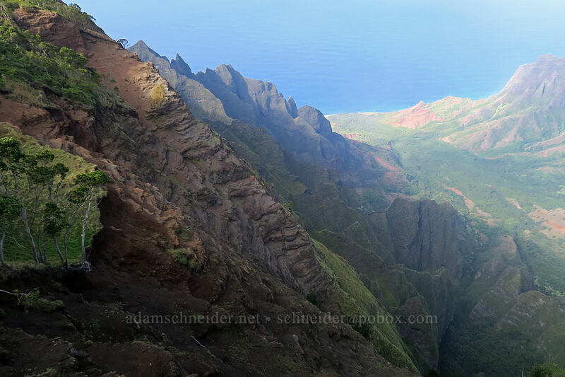 southwest side of Kalalau Valley [Kalepa Ridge Trail, Na Pali Coast State Park, Kaua'i, Hawaii]