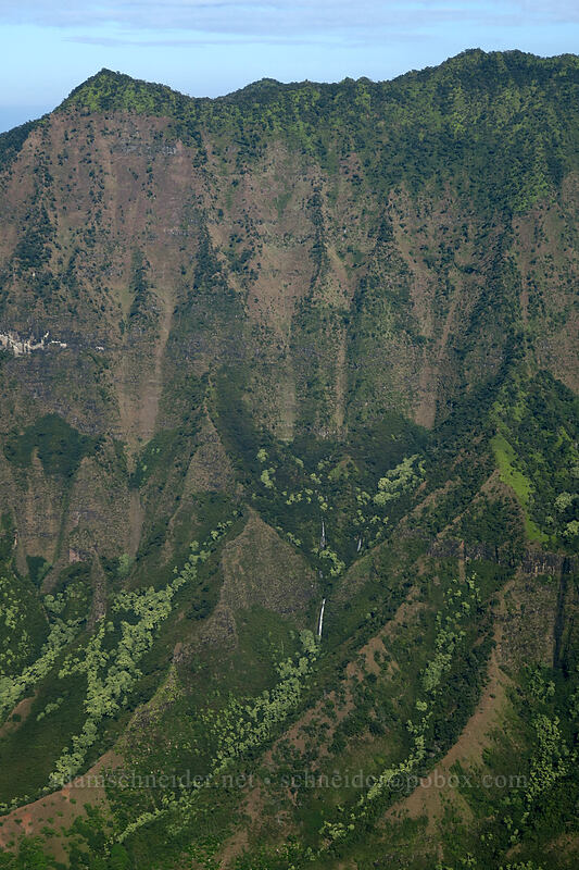 Kalalau Falls [Kalepa Ridge Trail, Na Pali Coast State Park, Kaua'i, Hawaii]