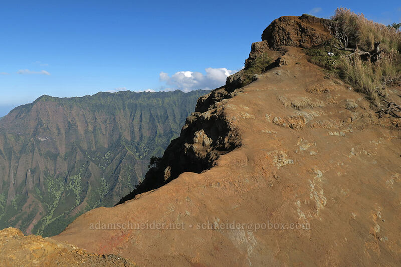 short but terrifying ridge [Kalepa Ridge Trail, Na Pali Coast State Park, Kaua'i, Hawaii]