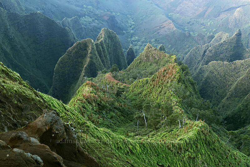 west side of Kalalau Valley [Kalepa Ridge Trail, Na Pali Coast State Park, Kaua'i, Hawaii]