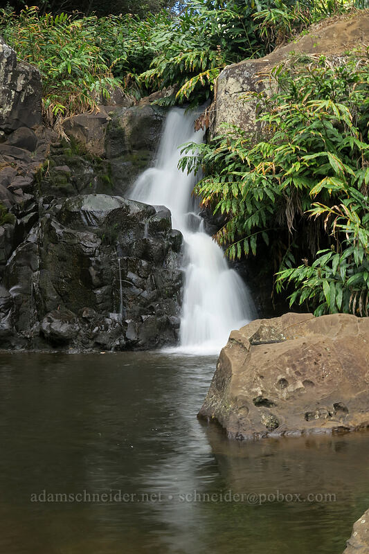 small waterfall above Waipo'o Falls [Canyon Trail, Waimea Canyon State Park, Kaua'i, Hawaii]