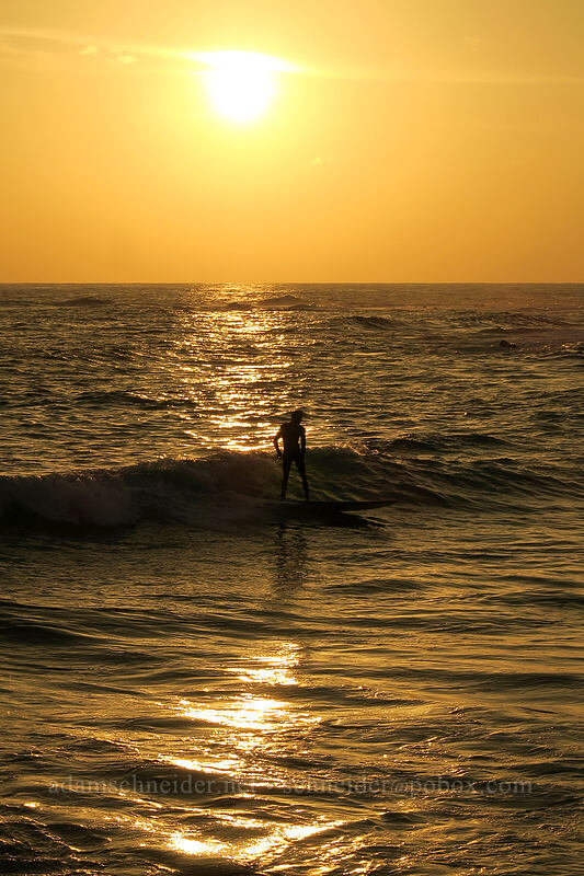 sunset surfer [Po'ipu Beach Park, Po'ipu, Kaua'i, Hawaii]
