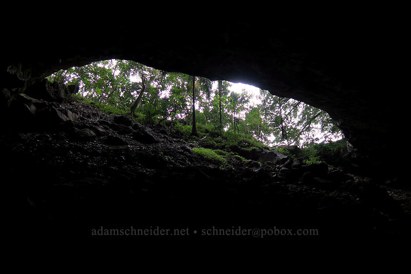 cave entrance, from inside [Waikapala'e Cave, Ha'ena State Park, Kaua'i, Hawaii]
