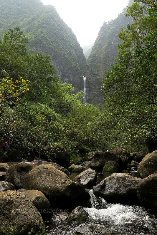Hanakapi'ai Falls & Hanakapi'ai Stream [Hanakapi'ai Falls Trail, Na Pali Coast State Park, Kaua'i, Hawaii]