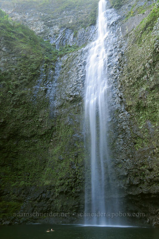 Hanakapi'ai Falls [Hanakapi'ai Falls Trail, Na Pali Coast State Park, Kaua'i, Hawaii]
