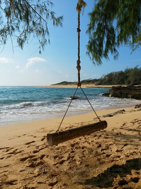 homemade beach swing [Kawailoa Bay, Maha'ulepu, Kaua'i, Hawaii]