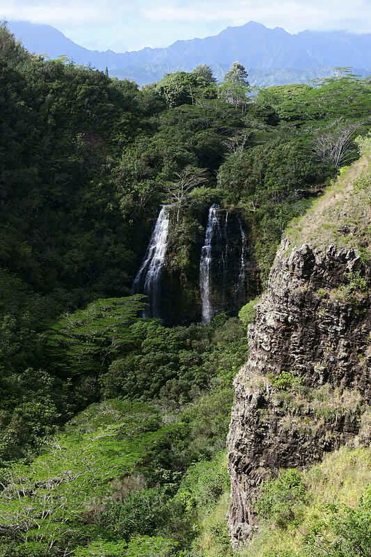 Opaeka'a Falls [Opaeka'a Falls Overlook, Wailua, Kaua'i, Hawaii]