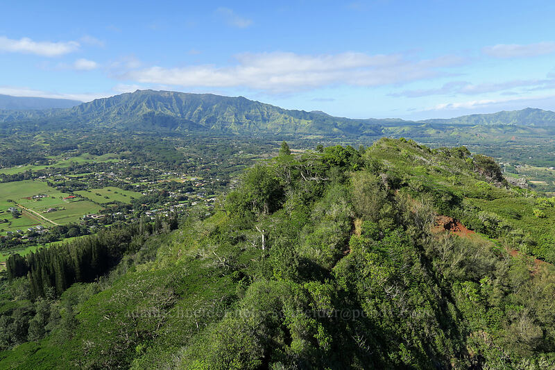 Nounou & Makaleha [Nounou Mountain, Wailua, Kaua'i, Hawaii]