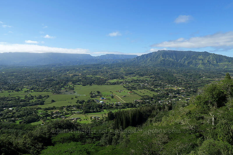 Wai'ale'ale & Makaleha [Nounou Mountain, Wailua, Kaua'i, Hawaii]