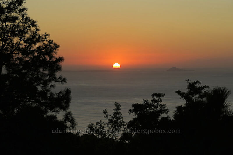 sunset over Ni'ihau & Lehua [Makaha Ridge Road, Pu'u ka Pele Forest Reserve, Kaua'i, Hawaii]