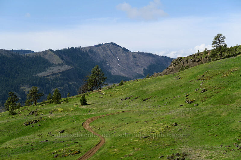 green hills in Washington & lingering snow in Oregon [Coyote Wall, Klickitat County, Washington]