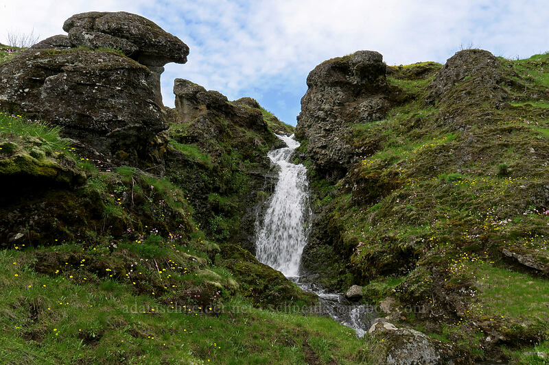 small waterfall [The Labyrinth, Klickitat County, Washington]
