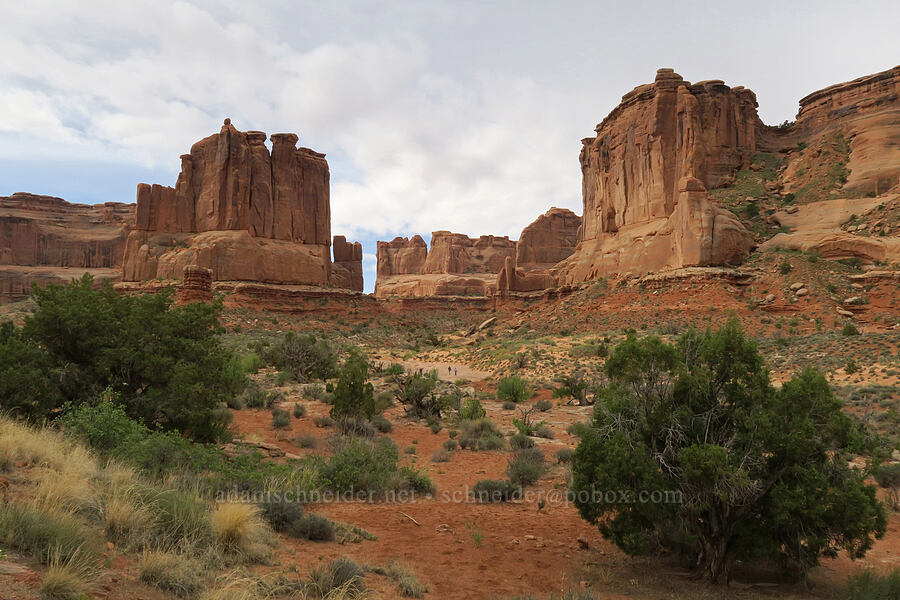 Park Avenue [Courthouse Towers Viewpoint, , Grand County, Utah]