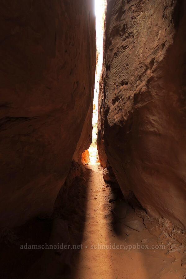 sandstone slot canyon [Fiery Furnace, Arches National Park, Grand County, Utah]