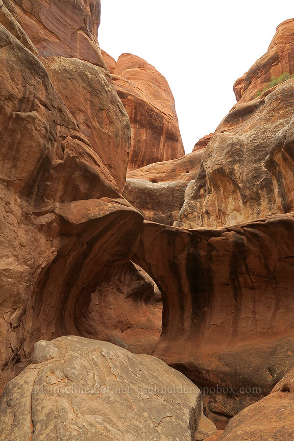small arch [Fiery Furnace, Arches National Park, Grand County, Utah]