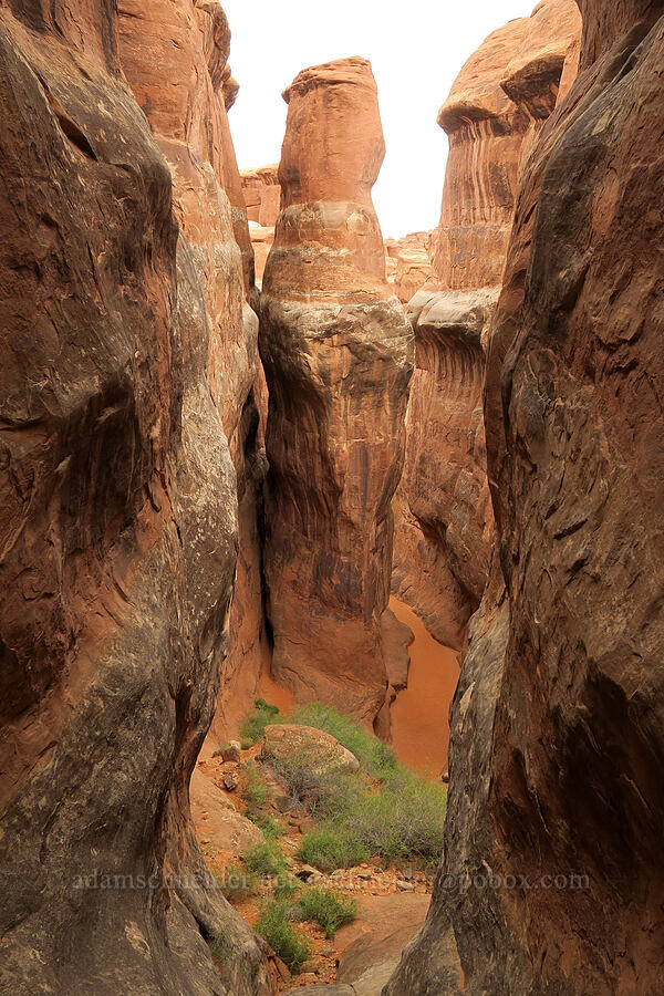 sandstone pinnacles [Fiery Furnace, Arches National Park, Grand County, Utah]