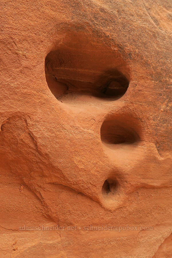 holes in the sandstone [Fiery Furnace, Arches National Park, Grand County, Utah]