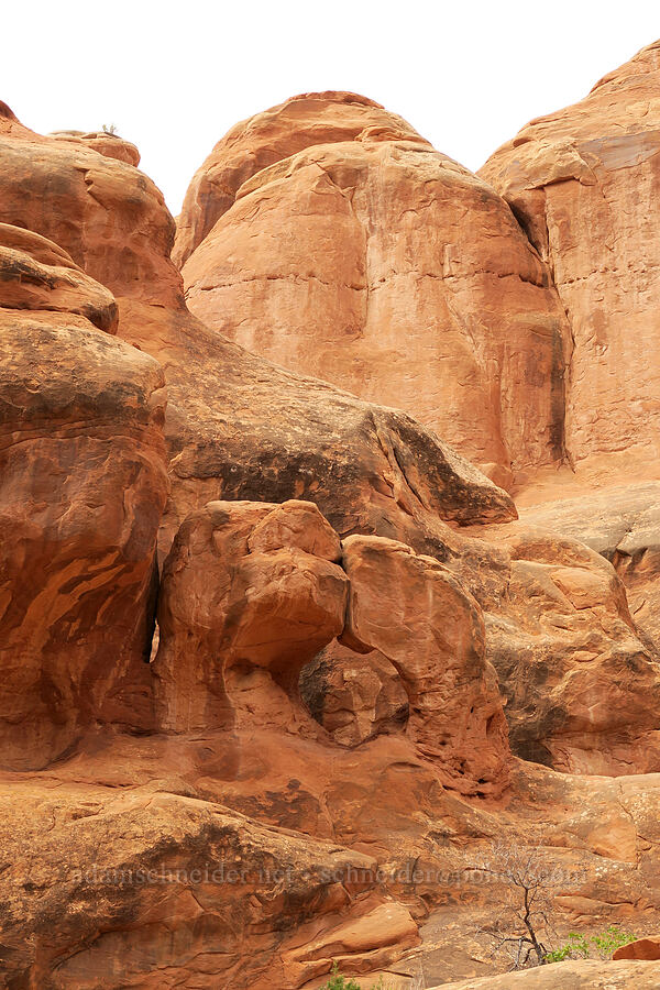 Kissing Turtles Arch [Fiery Furnace, Arches National Park, Grand County, Utah]