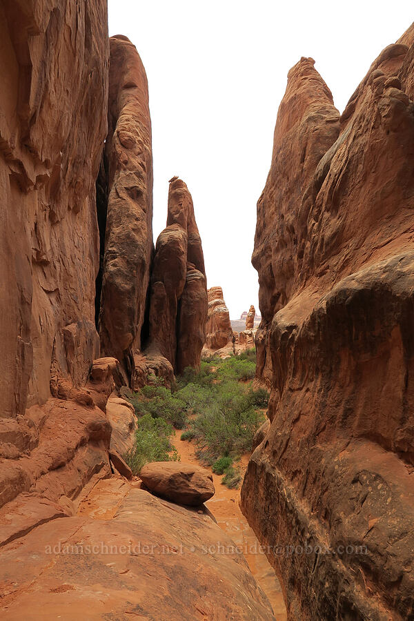 sandstone pinnacles [Fiery Furnace, Arches National Park, Grand County, Utah]
