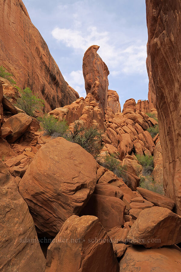 penguin-shaped rock [Fiery Furnace, Arches National Park, Grand County, Utah]