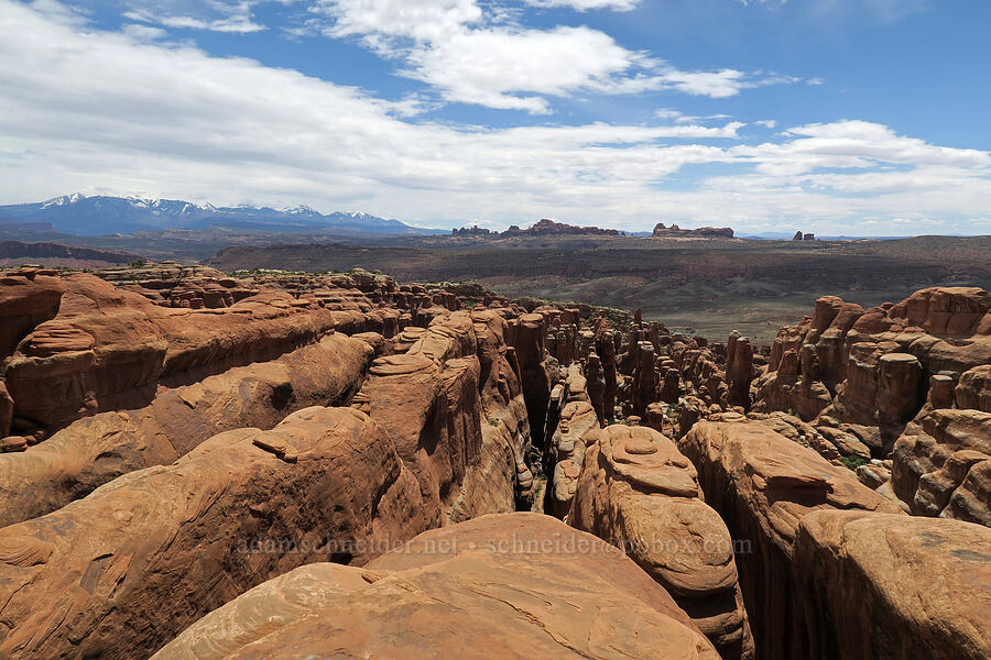 view to the south [Fiery Furnace, Arches National Park, Grand County, Utah]