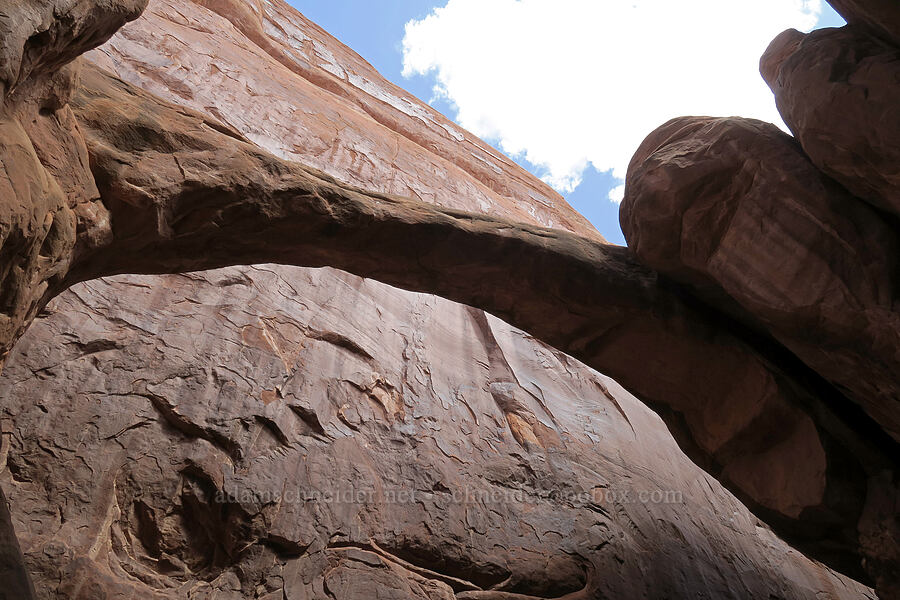 Surprise Arch [Fiery Furnace, Arches National Park, Grand County, Utah]