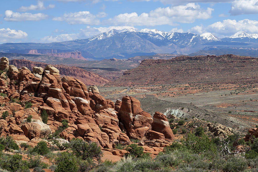 sandstone & mountains [Fiery Furnace, Arches National Park, Grand County, Utah]