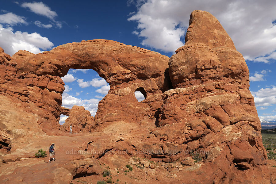 Turret Arch [Windows Trail, Arches National Park, Grand County, Utah]