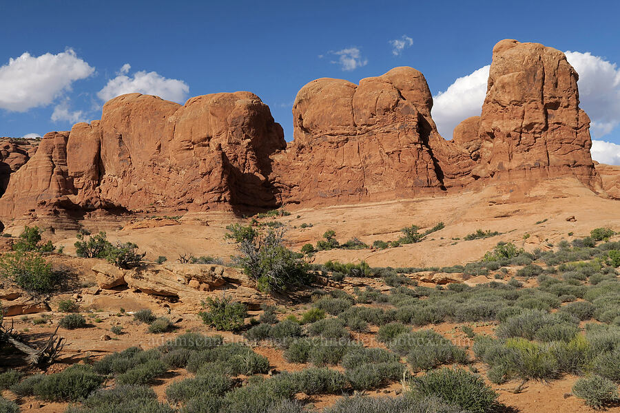 Parade of Elephants [The Windows Road, Arches National Park, Grand County, Utah]