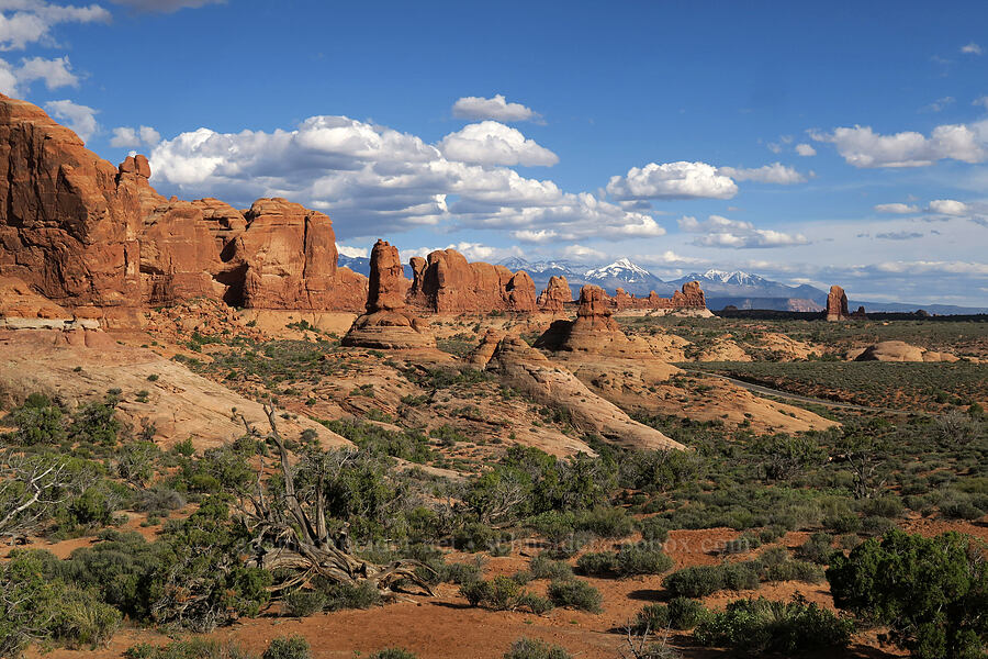 Elephant Butte, Bullwinkle Tower, & La Sal Mountains [Garden of Eden, Arches National Park, Grand County, Utah]