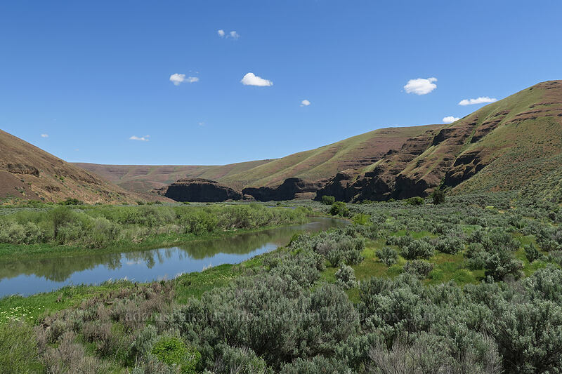 John Day River [Lost Corral Trail, Cottonwood Canyon State Park, Gilliam County, Oregon]