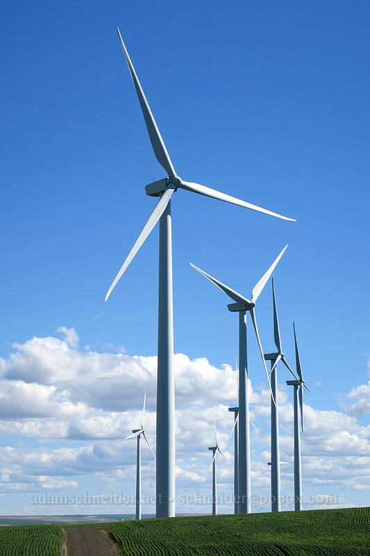 wind turbines [Wasco-Heppner Highway, Sherman County, Oregon]