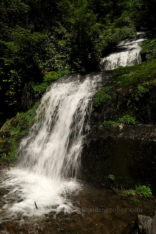 Parker Creek Falls [Mary's Peak Road, Siuslaw National Forest, Benton County, Oregon]