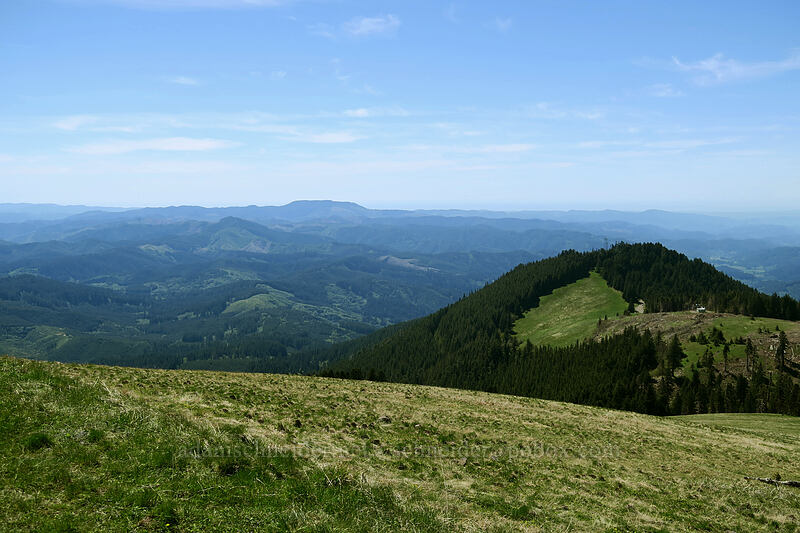 view to the west [Mary's Peak summit, Siuslaw National Forest, Benton County, Oregon]