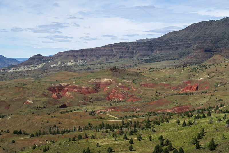 red hills [Blue Basin Trail, John Day Fossil Beds National Monument, Grant County, Oregon]