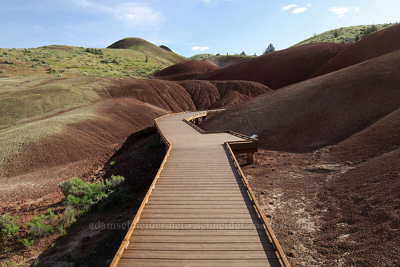 Painted Cove boardwalk [Painted Cove Trail, John Day Fossil Beds National Monument, Wheeler County, Oregon]