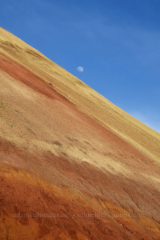 Red Scar Knoll & the moon [Red Hill Trail, John Day Fossil Beds National Monument, Wheeler County, Oregon]