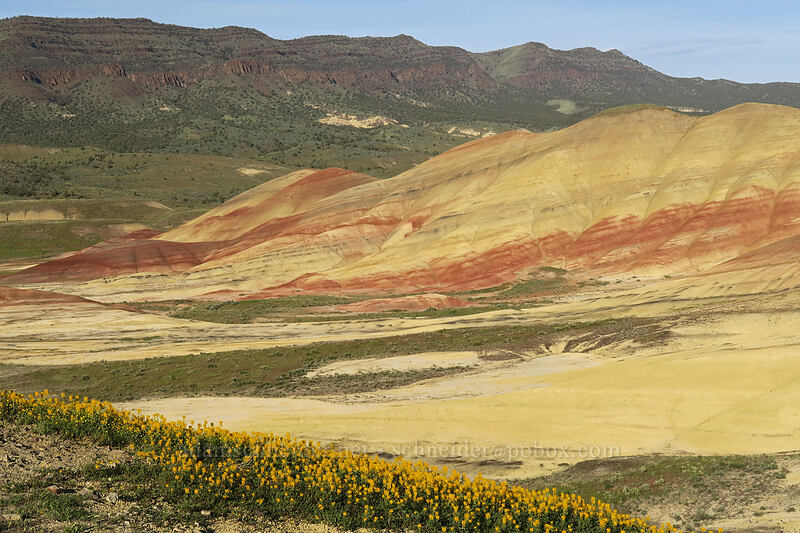 Painted Hills [Painted Hills Overlook Trail, John Day Fossil Beds National Monument, Wheeler County, Oregon]