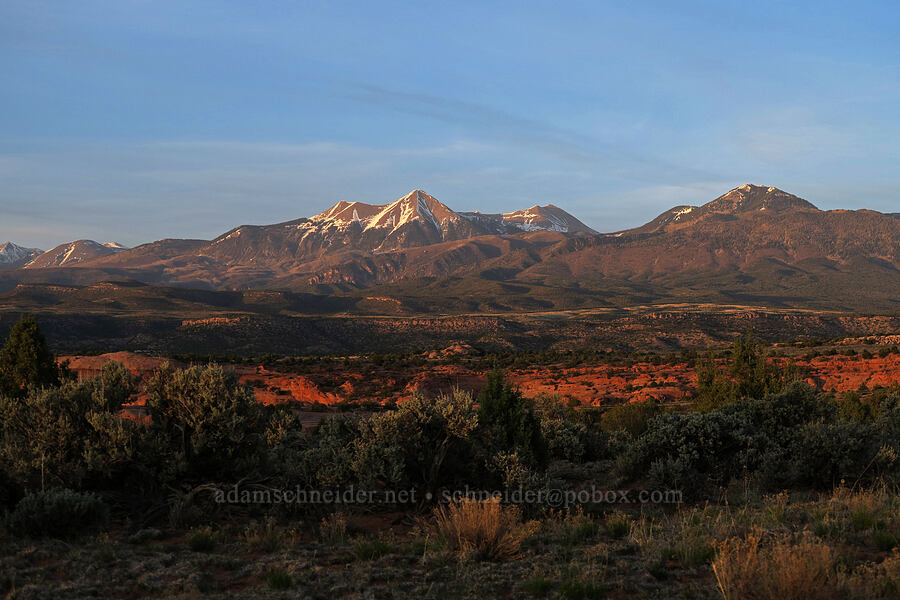 La Sal Mountains at sunset [Looking Glass Road, San Juan County, Utah]