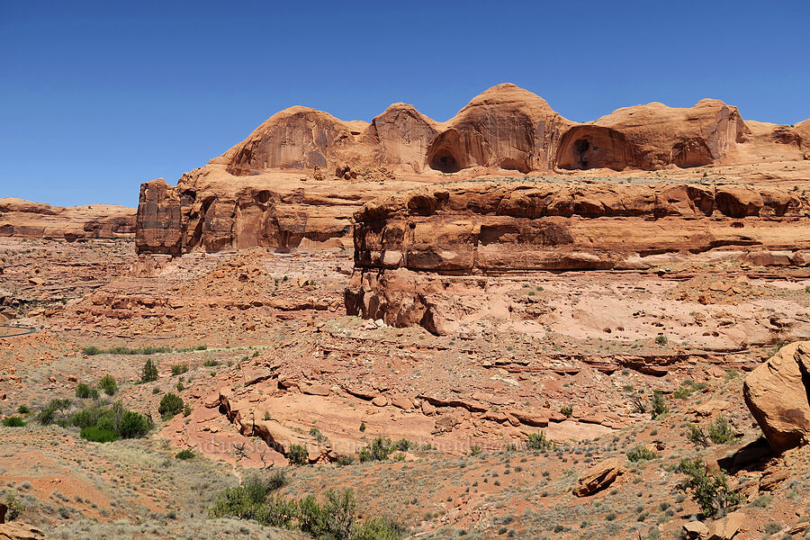 sandstone cliffs & coves [Corona Arch Trail, Moab, Grand County, Utah]