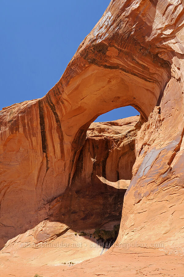 Bow Tie Arch [Corona Arch Trail, Moab, Grand County, Utah]